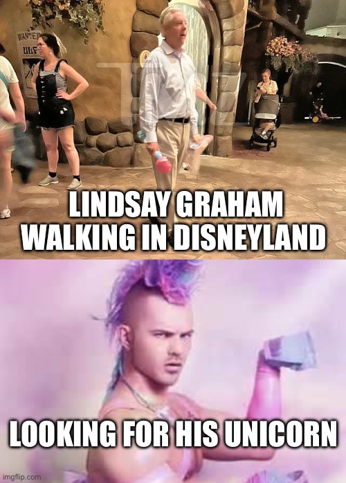 Lindsay Graham | Lindsay graham walking in Disneyland; Looking for his unicorn | image tagged in gay unicorn,lindsey graham,politics,political meme,disney | made w/ Imgflip meme maker