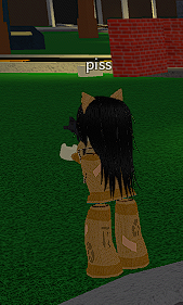 roblox moderation ahh Blank Meme Template