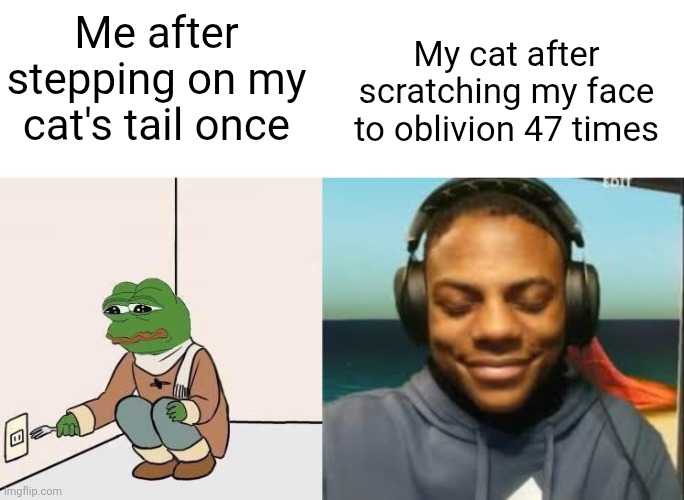 Cats are kinda intimidating | My cat after scratching my face to oblivion 47 times; Me after stepping on my cat's tail once | image tagged in sad pepe suicide,speed trying not to laugh,cats,suicide,relatable,sad | made w/ Imgflip meme maker