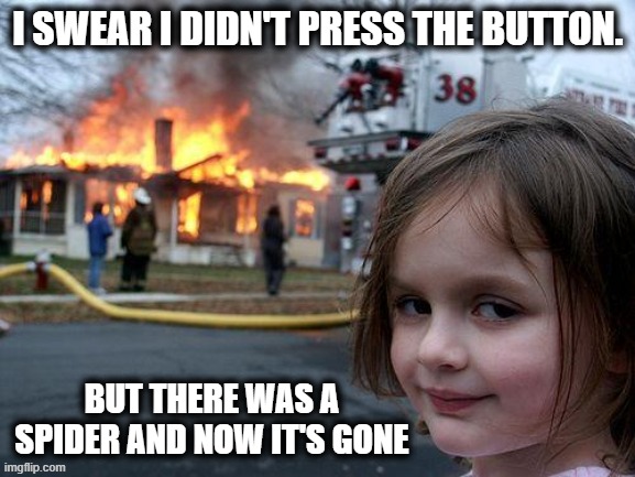 There once was a spider | I swear I didn't press the button. But there was a spider and now it's gone | image tagged in memes,disaster girl,don't press the button,spider,button | made w/ Imgflip meme maker