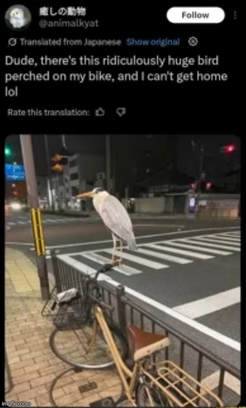 he's lookin chill | made w/ Imgflip meme maker