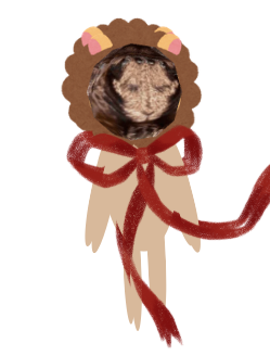 spider lion Blank Meme Template