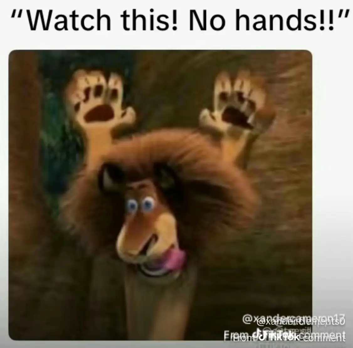 Madagascar "No Hands" Meme Blank Meme Template