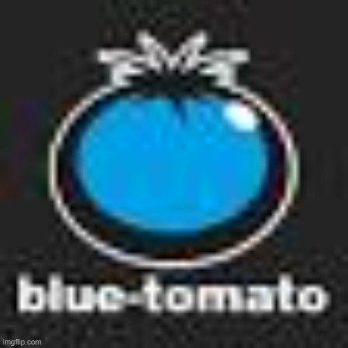 blue tomato | image tagged in blue tomato | made w/ Imgflip meme maker