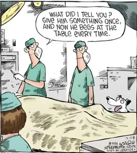 Never feed them from the table | image tagged in repost,feed dog | made w/ Imgflip meme maker