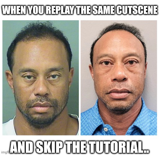 BRO REALLY DID IT AGAIN! ༎ຶ⁠‿⁠༎ຶ | WHEN YOU REPLAY THE SAME CUTSCENE; AND SKIP THE TUTORIAL.. | image tagged in tiger woods,then vs now,mugshot,life lessons | made w/ Imgflip meme maker