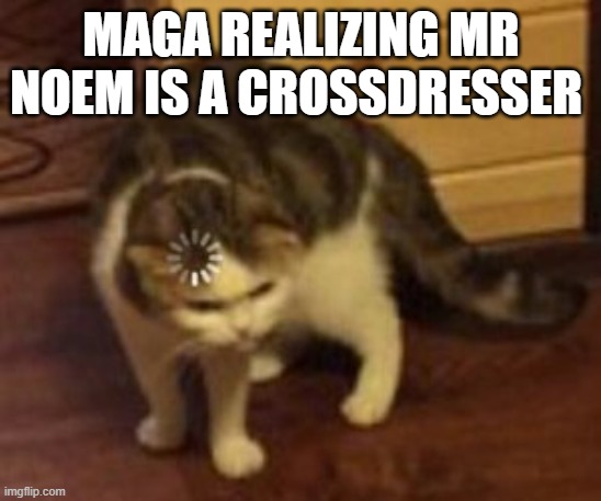 Loading cat | Maga realizing mr noem is a crossdresser | image tagged in loading cat | made w/ Imgflip meme maker