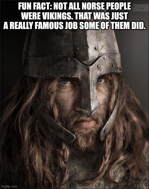 viking | fun fact: Not all Norse people were vikings. That was just a really famous job some of them did. | image tagged in viking | made w/ Imgflip meme maker