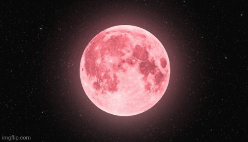 April Pink Full Moon | image tagged in gifs,full moon,april,pink moon,rituals,release | made w/ Imgflip images-to-gif maker