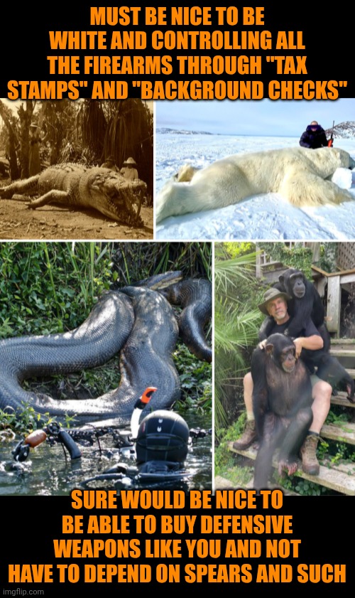 Funny | Must be nice to be white and controlling all the firearms through "tax stamps" and "background checks"; Sure would be nice to be able to buy defensive weapons like you and not have to depend on spears and such | image tagged in funny,politics,background,security,protection,white privilege | made w/ Imgflip meme maker