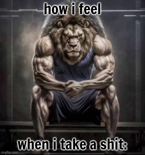 how i feel when i take a shit: | image tagged in buff lion sitting | made w/ Imgflip meme maker