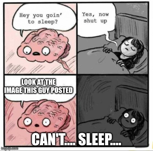 Look at the image this guy posted Can't.... Sleep.... | image tagged in brain sleep meme | made w/ Imgflip meme maker
