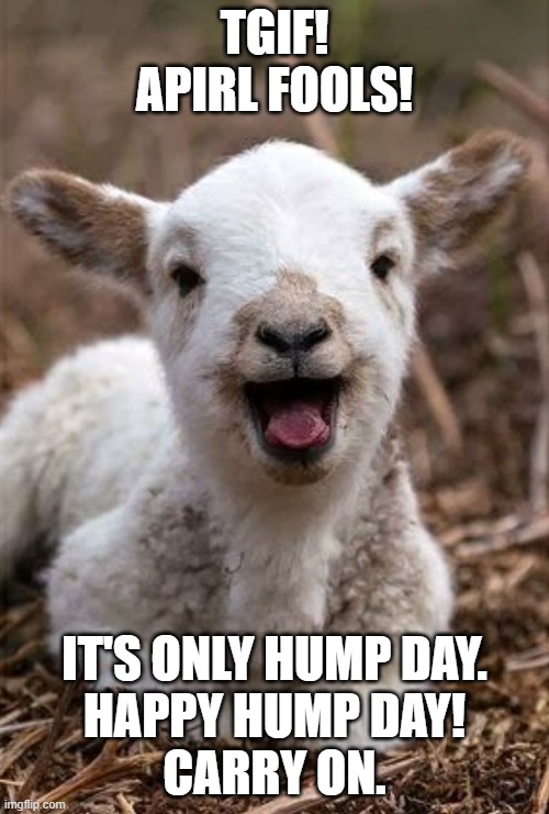 April Fools Hump Day | TGIF!
Apirl Fools! It's only Hump day.
Happy Hump day!
Carry on. | image tagged in tgif lamb | made w/ Imgflip meme maker