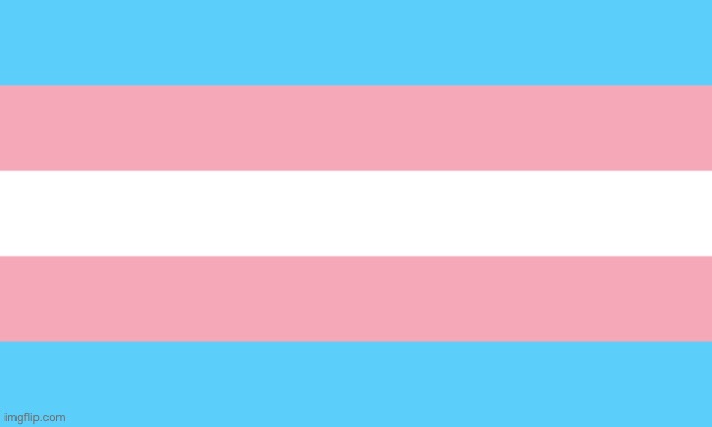 Happy Trans Visibility Day | image tagged in trans flag | made w/ Imgflip meme maker