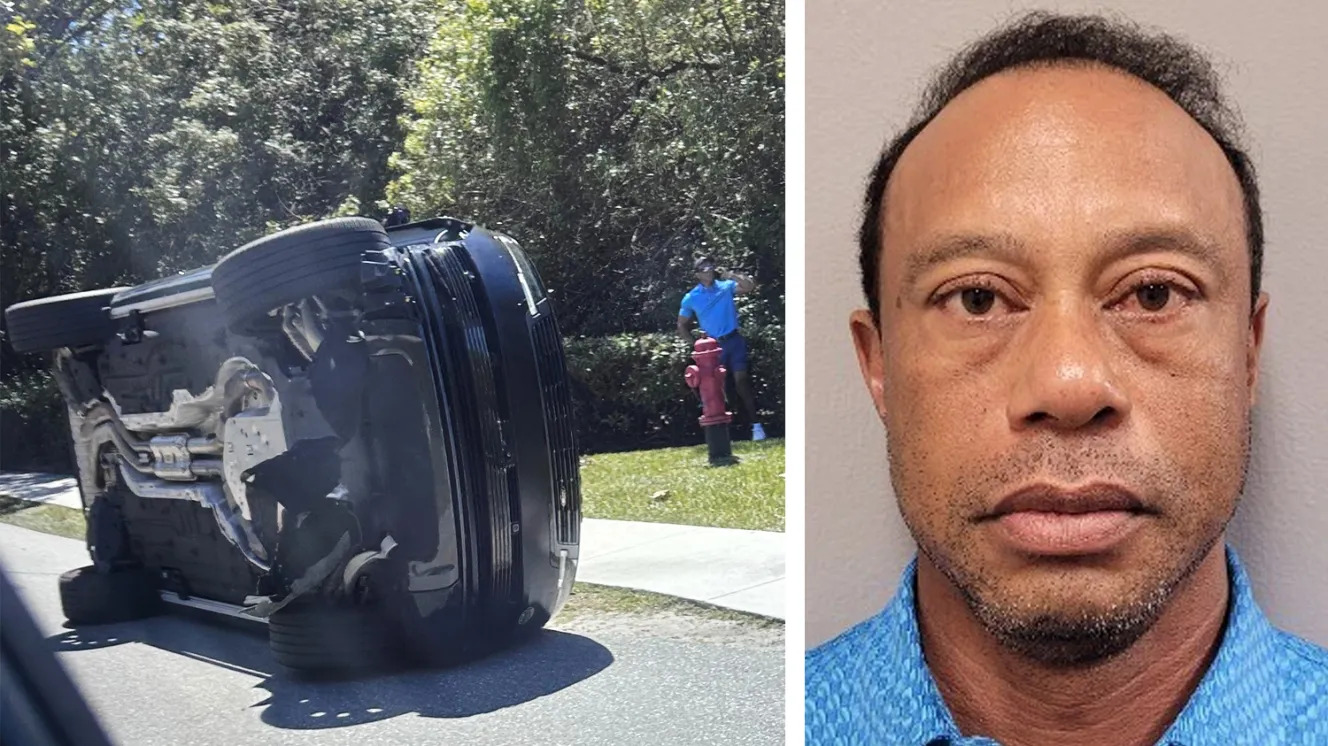 Tiger Blank Meme Template