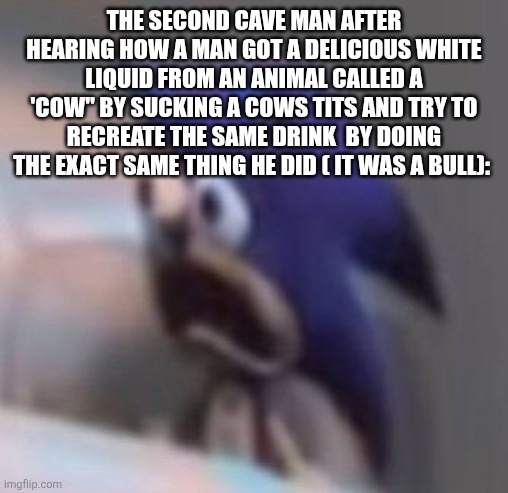 Traumatised Sonic | The second cave man after hearing how a man got a delicious white liquid from an animal called a 'cow" by sucking a cows tits and try to recreate the same drink  by doing the exact same thing he did ( it was a bull): | image tagged in traumatised sonic | made w/ Imgflip meme maker