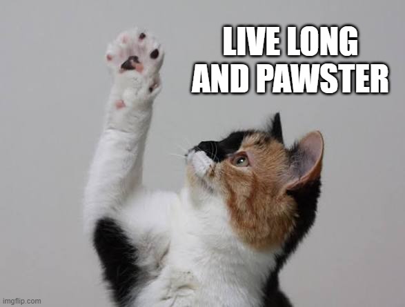 This cat loves Star Trek. "Live long and prosper." | Live long and pawster | image tagged in cat,kitten,star trek,funny,humor,cute | made w/ Imgflip meme maker