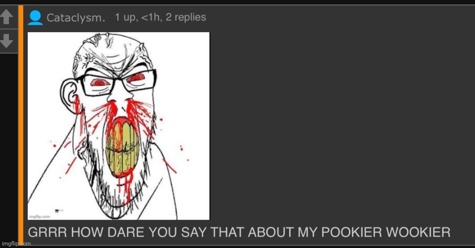 pookier wookier | image tagged in pookier wookier | made w/ Imgflip meme maker