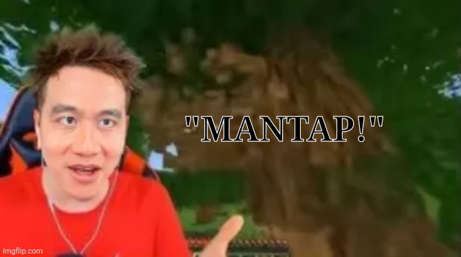 "Mantap!" | image tagged in memes,minecraft,ai | made w/ Imgflip meme maker