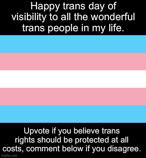 Happy Trans Day of Visibility | Happy trans day of visibility to all the wonderful trans people in my life. Upvote if you believe trans rights should be protected at all costs, comment below if you disagree. | image tagged in trans flag,transgender,lgbtq | made w/ Imgflip meme maker