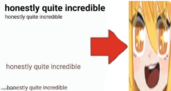 don quixoteling | image tagged in honestly quite incredible | made w/ Imgflip meme maker