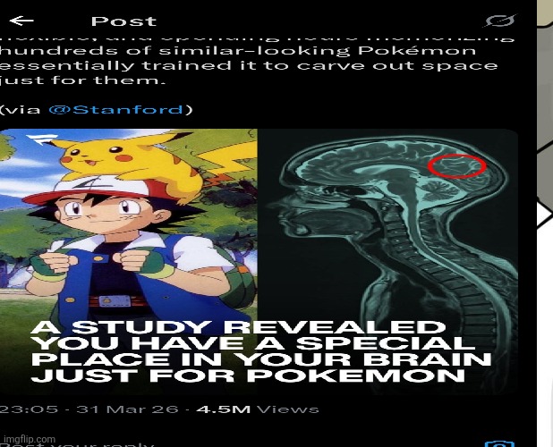 Image | image tagged in funny | made w/ Imgflip meme maker