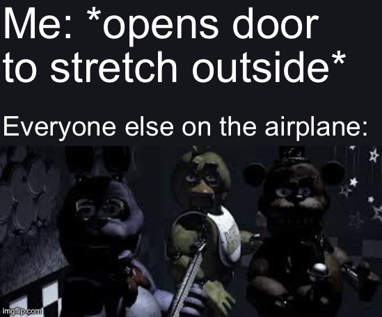 FNAF Camera All Stare | Me: *opens door to stretch outside*; Everyone else on the airplane: | image tagged in fnaf camera all stare,memes,stare,airplane | made w/ Imgflip meme maker