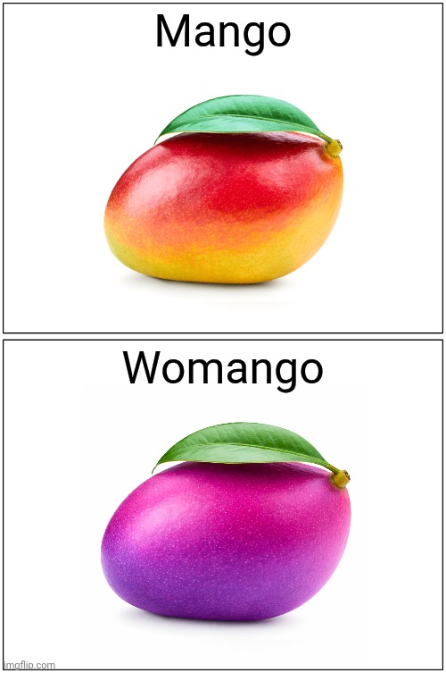 Mango but opposite | Mango; Womango | image tagged in memes,funny,mango,fruit,relatable | made w/ Imgflip meme maker