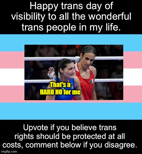 Comments Disabled should be eliminated | That's a HARD NO for me | image tagged in trans day meme | made w/ Imgflip meme maker