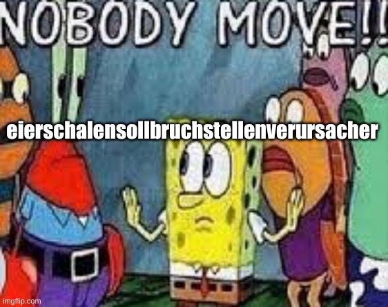 NOBODY MOVE!! | eierschalensollbruchstellenverursacher | image tagged in nobody move | made w/ Imgflip meme maker