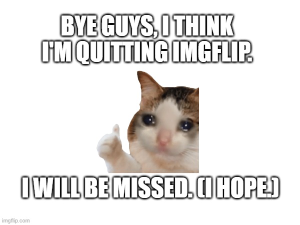goodbye. | Bye guys, I think I'm quitting imgflip. I will be missed. (I hope.) | image tagged in i'm leaving imgflip,memes,funny,funny memes,sad,emotional | made w/ Imgflip meme maker