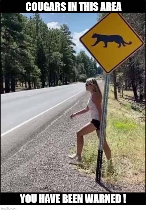 Proceed With Extreme Caution | cougars in this area; you have been warned ! | image tagged in warning sign,cougar,play on words | made w/ Imgflip meme maker