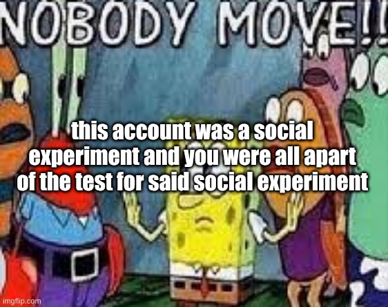 NOBODY MOVE!! | this account was a social experiment and you were all apart of the test for said social experiment | image tagged in nobody move | made w/ Imgflip meme maker