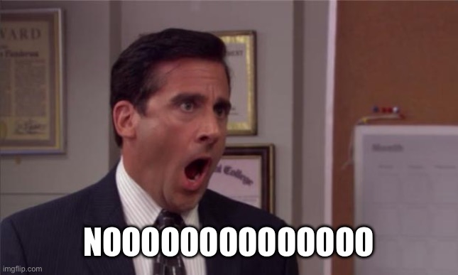 NOOOOOOOOOOOOOO | image tagged in noooooo | made w/ Imgflip meme maker