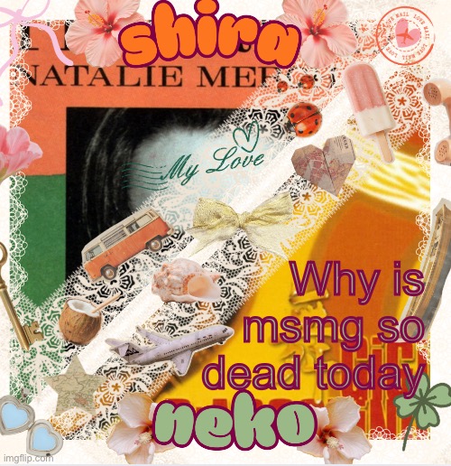 neko and shira shared temp <3 | Why is msmg so dead today | image tagged in neko and shira shared temp 3 | made w/ Imgflip meme maker