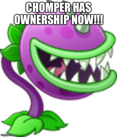 Chomper | chomper has ownership now!!! | image tagged in chomper | made w/ Imgflip meme maker