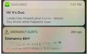 Looks like you missed your ____ Emergency alert Blank Meme Template