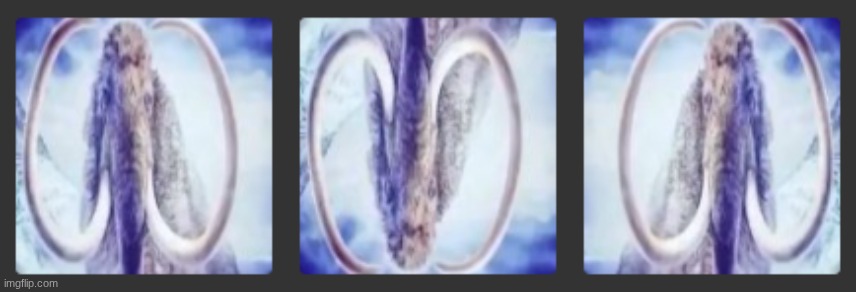 "do a flip" | made w/ Imgflip meme maker