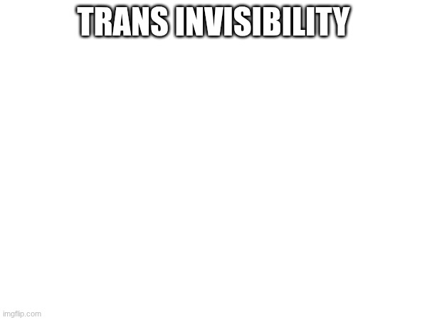 trans invisibility | made w/ Imgflip meme maker