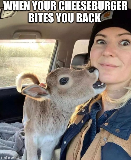 When Your Cheeseburger Bites You Back | When your cheeseburger bites you back | image tagged in chrisjoines1 | made w/ Imgflip meme maker