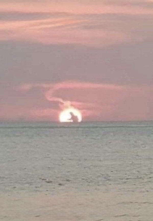 Godzilla Blank Meme Template