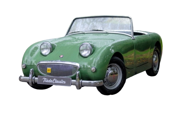 Mr Frog’s Car Blank Meme Template