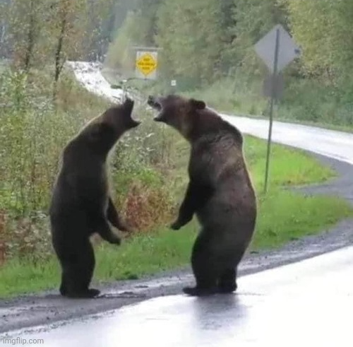 Chrisjoines1 Blank Meme Template