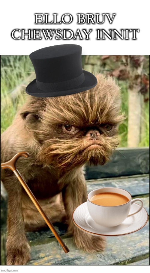 ello bruv chewsday innit | image tagged in british,memes | made w/ Imgflip meme maker