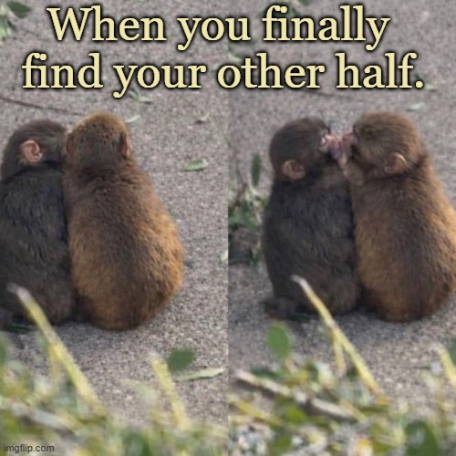 Love | When you finally 
find your other half. | image tagged in it's enough to make a grown man cry,strong,caring,compassion,love,respect | made w/ Imgflip meme maker