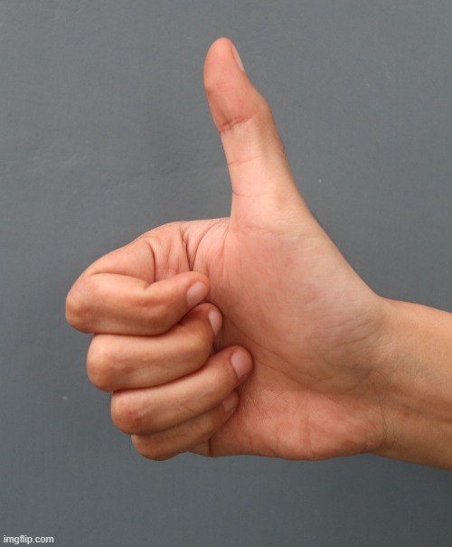thumbs up | image tagged in thumbs up | made w/ Imgflip meme maker