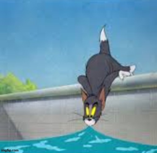 Tom Drinking From a Pool | image tagged in tom drinking from a pool | made w/ Imgflip meme maker