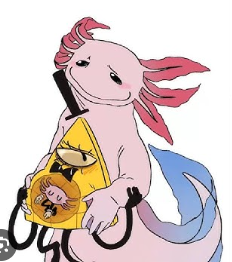 wtf Blank Meme Template