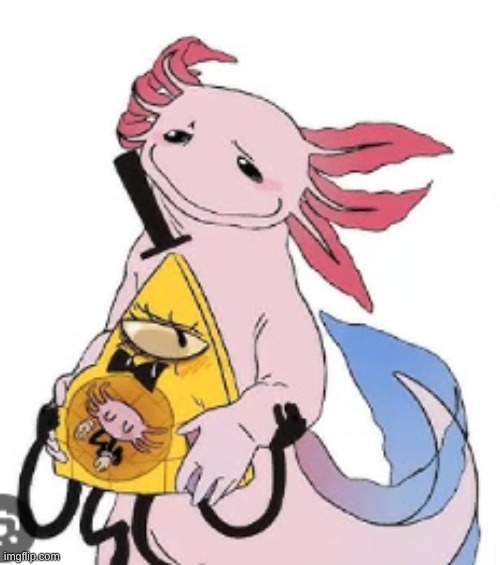 wtf | image tagged in wtf | made w/ Imgflip meme maker