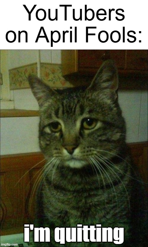 ts ain't funny bru | YouTubers on April Fools:; i'm quitting | image tagged in memes,depressed cat,funny,april fools,youtubers,quitting | made w/ Imgflip meme maker